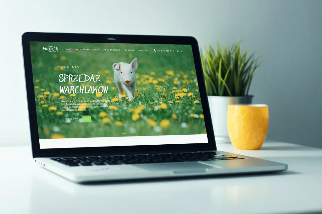 Strona internetowa dla importera warchlaków Farm Hejła