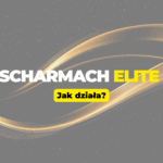 Po co Ci kampania, skoro nie masz oferty?