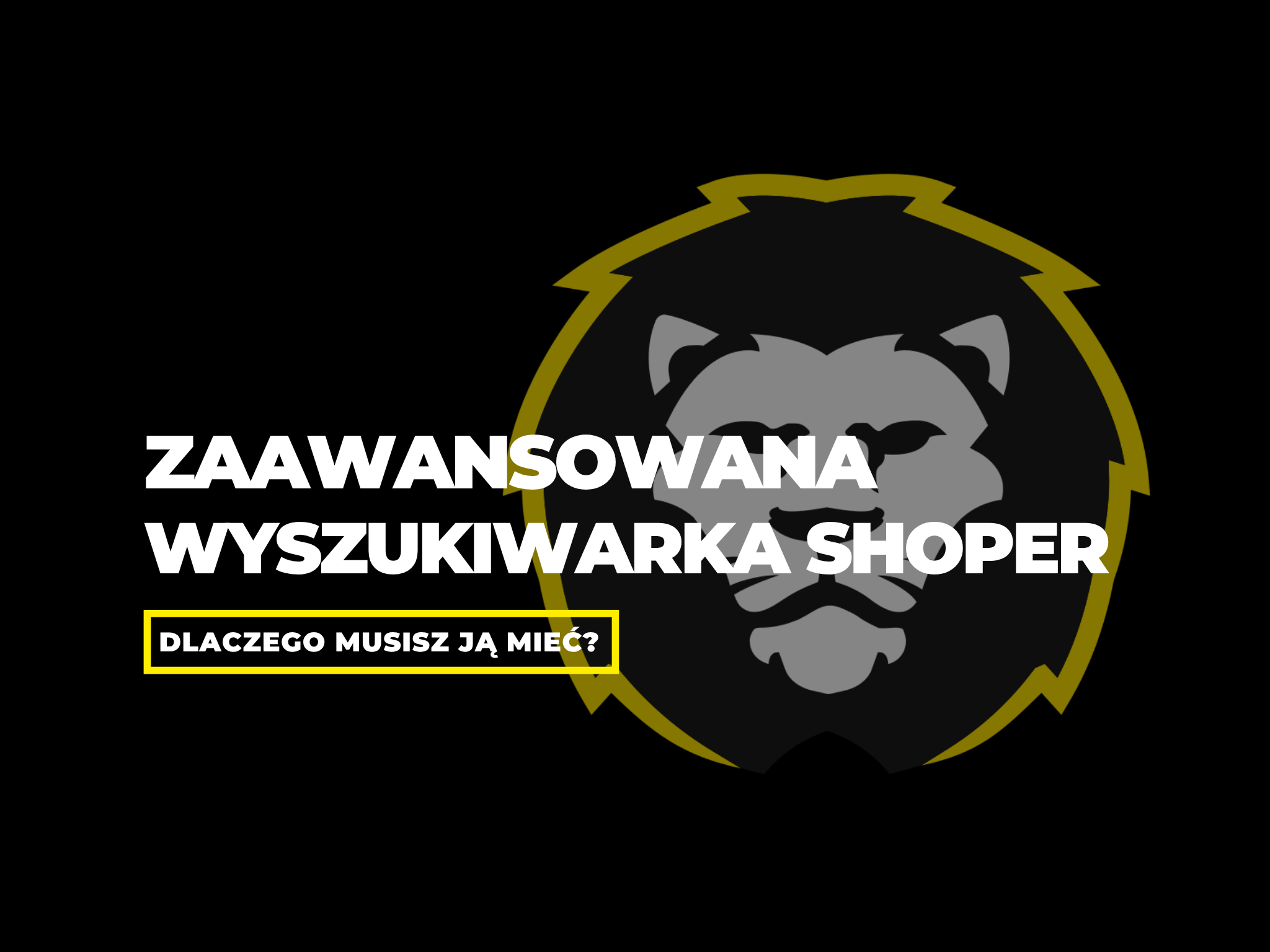 Zaawansowana wyszukiwarka Shoper: dlaczego „brak wyników” może kosztować Cię sprzedaż?